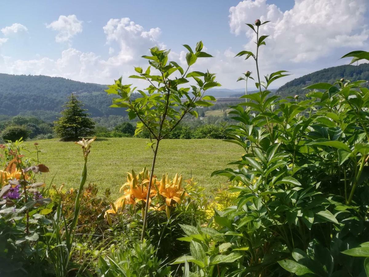 Noclegi Nad Solina Solina  Dış mekan fotoğraf