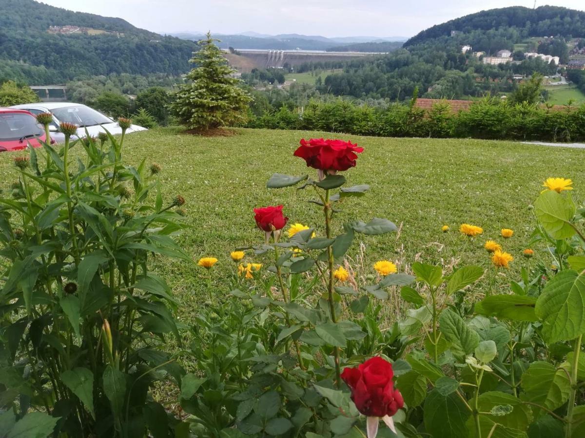 Noclegi Nad Solina Solina  Dış mekan fotoğraf